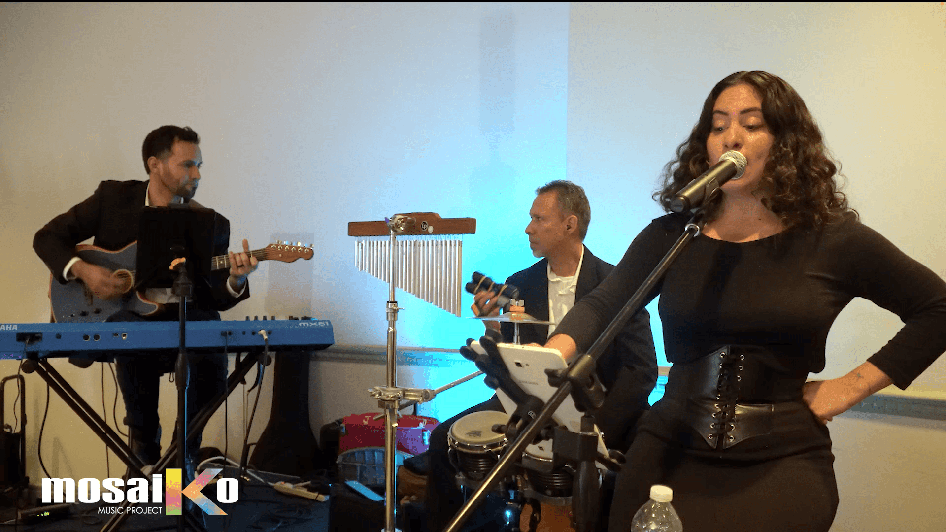 Presentación Acústica